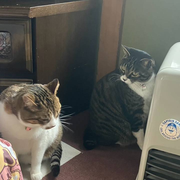 97352302 18cf 4177 a3d0 31e15bf6b219 1767403244505