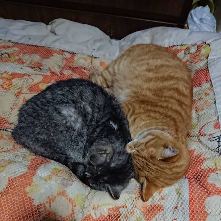 973532c9 a117 459a 8e75 57360e61fd0c 1578401798147