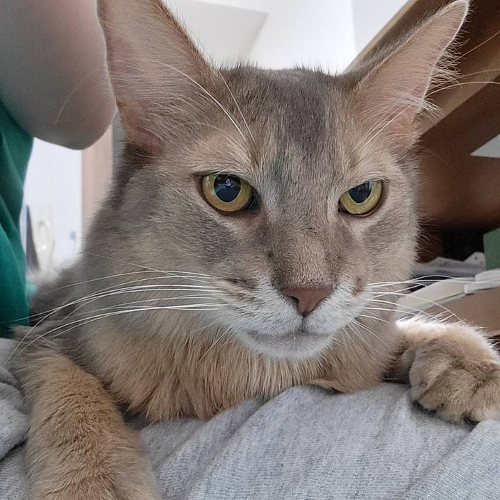 97353c33 9645 42bf 86f3 9e4e0828ce4d 1663814571606