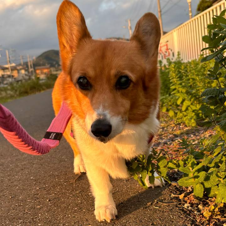 97353d95 4639 4ae2 8f61 a34a06d55a51 1730880039604