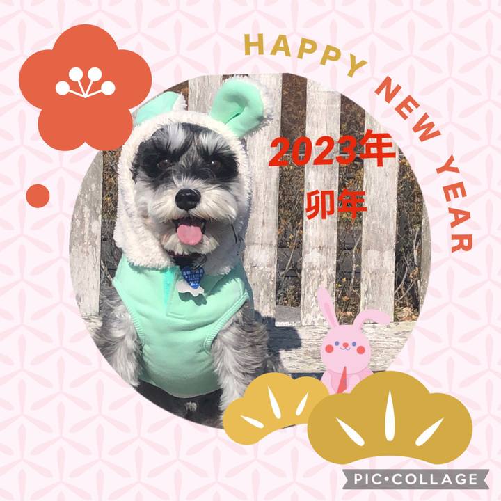 9735457f 3972 4612 907a f4bae17681a3 1672546164873