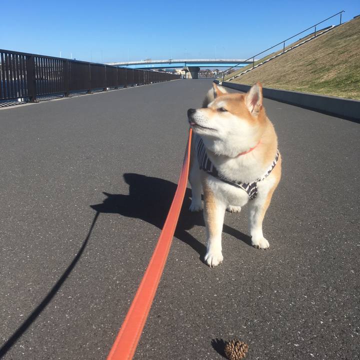 9735884d 14f9 44d4 8148 398ee9b76596 1544849377111