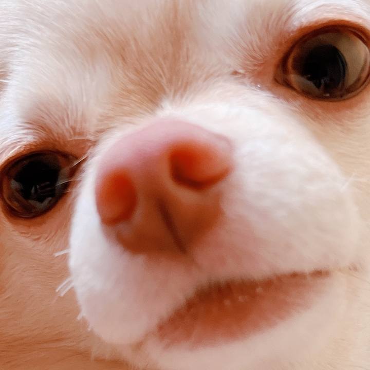 9735c730 a274 477e a384 8304356b7af0 1659745511361