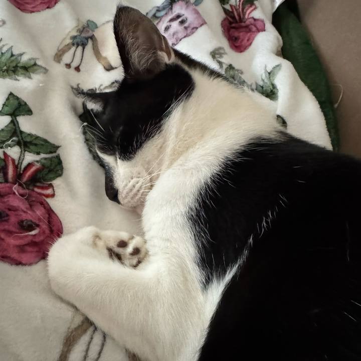 9735e4fd e84e 45e0 9d76 46a2b2d146ff 1761013739690