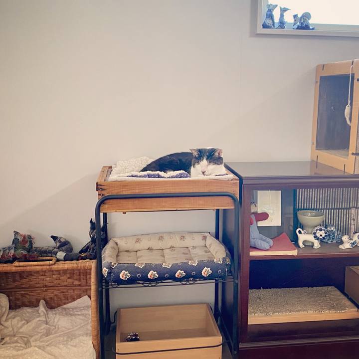 97363466 b4e6 489d a3f0 31632389b7c2 1620110882565