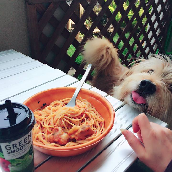 97363e95 d6cf 4fde 8f5f 64d4a4cdafca 1552277644666