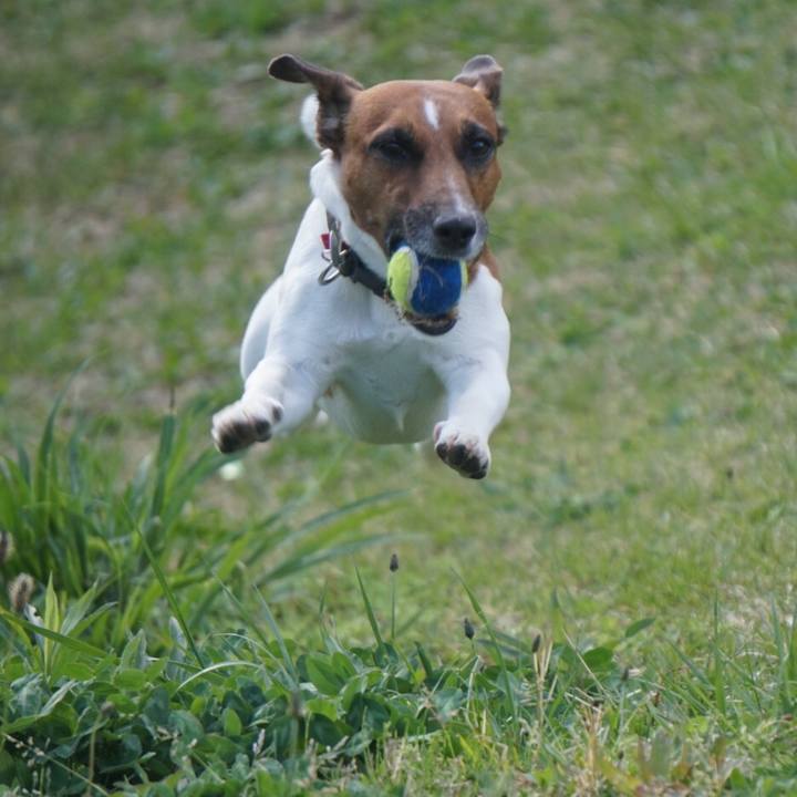 9736466f 7424 4d4c 8ea2 77fcdb7addd8 1523487262936