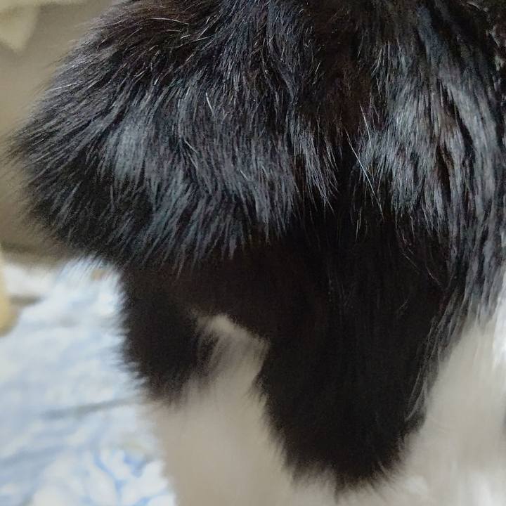 973673a2 744f 4382 af78 9930d4cb8607 1622362606541