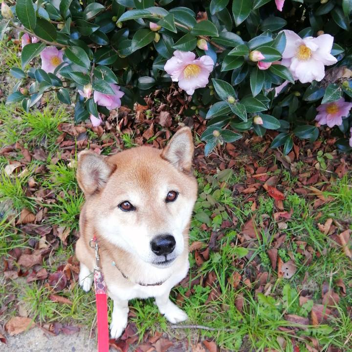 9736abf6 7174 4217 a4dd 8428281b4783 1667633713221