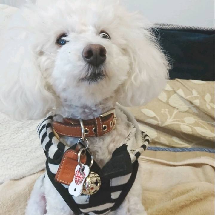 9736fe99 7a55 420e a880 66fd0e06d47a 1523877726238