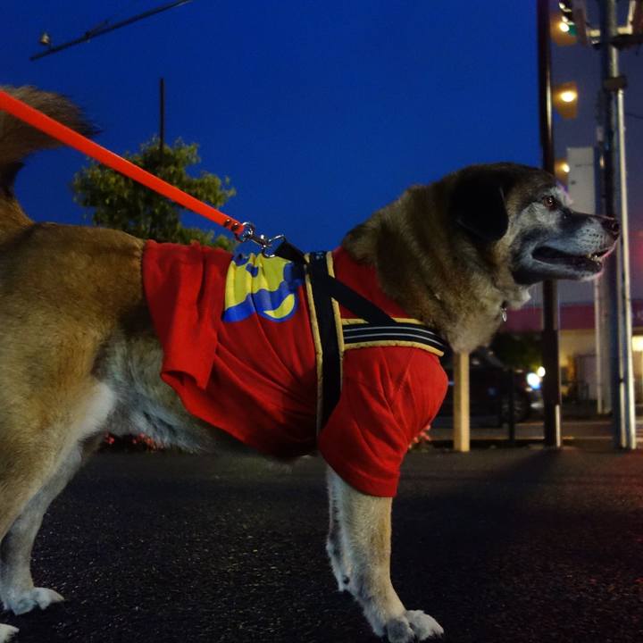 9737280a 921e 45d5 bad1 17a5fafb4173 1560603816217