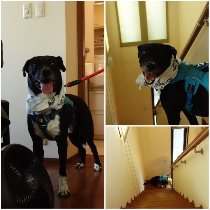 97375feb 4935 4784 a5b4 6c640ce16365 1633336794931