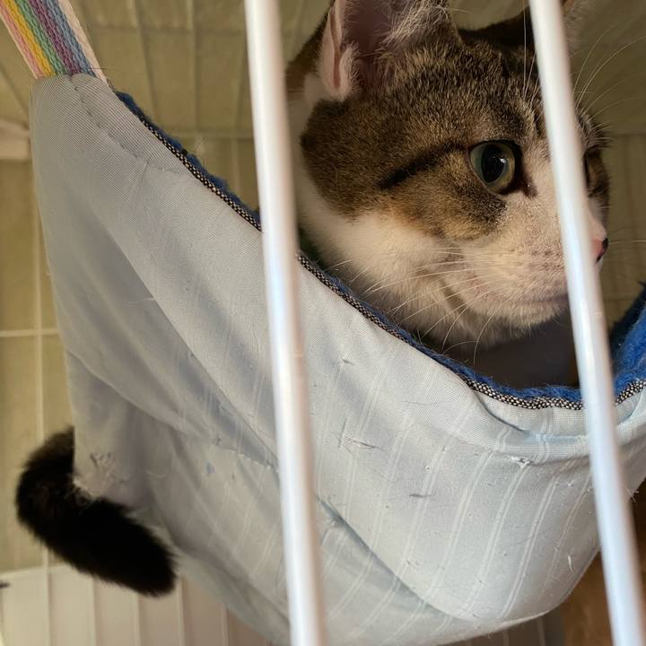 97375ff8 4c9f 4493 965b 291c6b8d08db 1740474626820