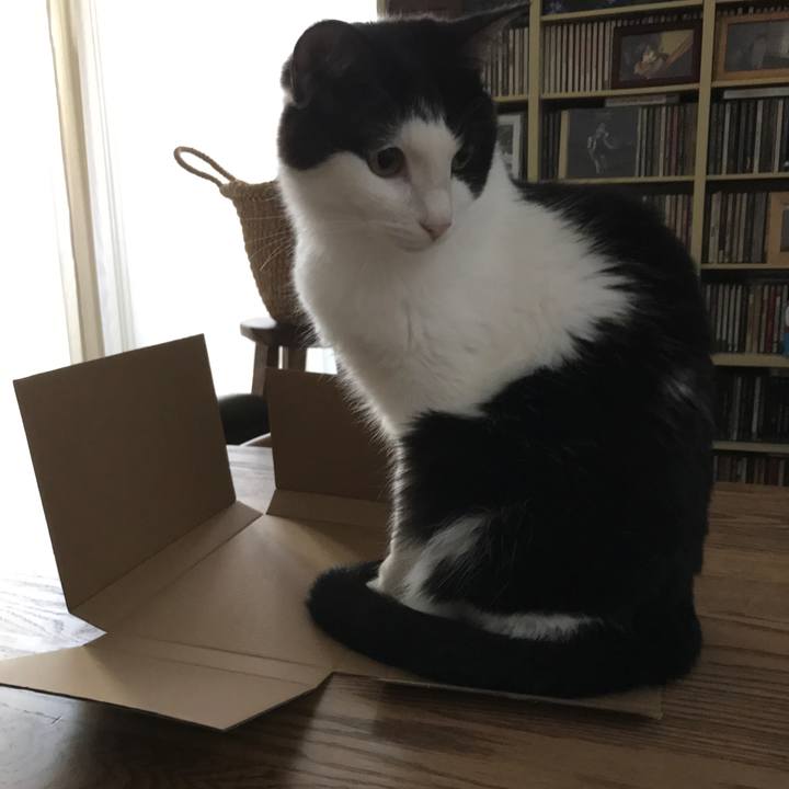 97378291 37b9 499a be6d 25731cedeaac 1526370501756