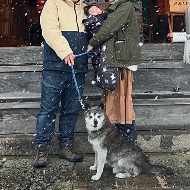 973791c8 53c2 40d0 b0c3 f9083346fd54 1767264016151