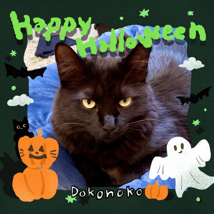 97379393 414d 47a4 8144 8663dc8820c1 1730350544117