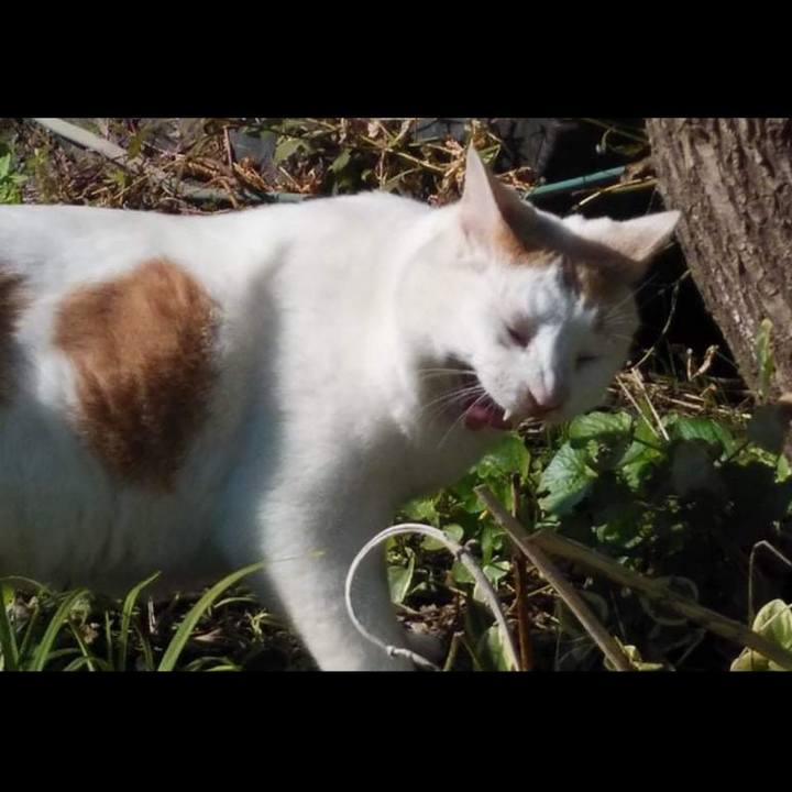 9737a2cf a5fa 4a03 bcd8 21037e827872 1635225160551