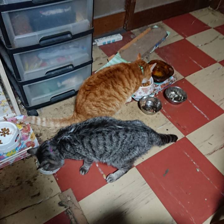 9737cb4c a599 428d a6fa d1fb770cec68 1580888414656