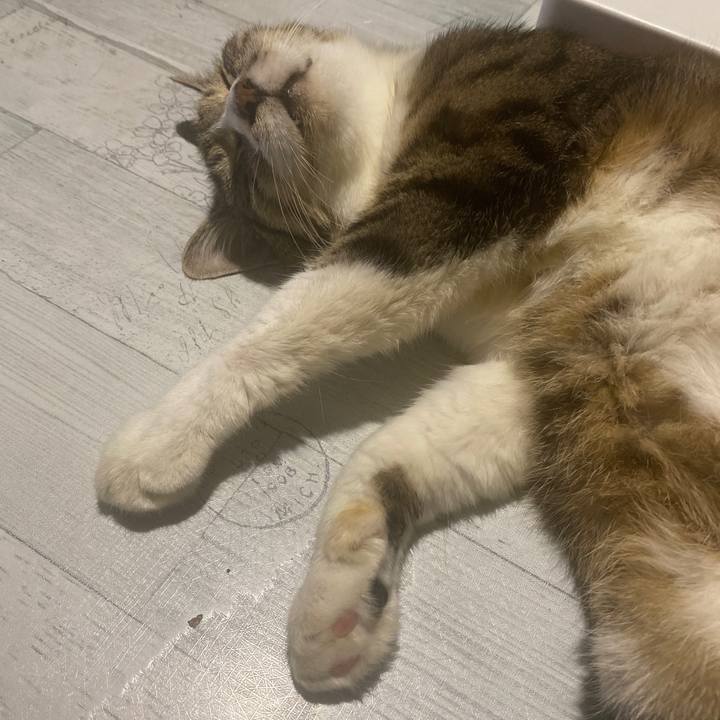 9737ed79 30ee 4a66 963b 205003123cfb 1689772034545