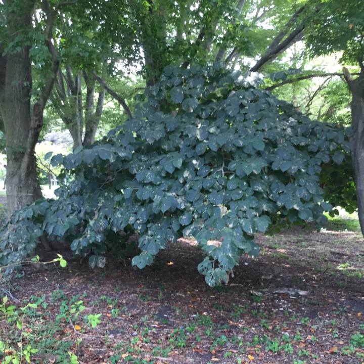 97381032 979e 4906 a37e f41a80f2d833 1598326626409