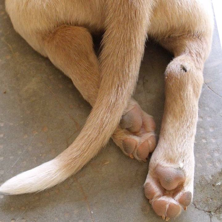 97383e77 b8c2 494f 9dc0 7d641c2b5428 1537707692126