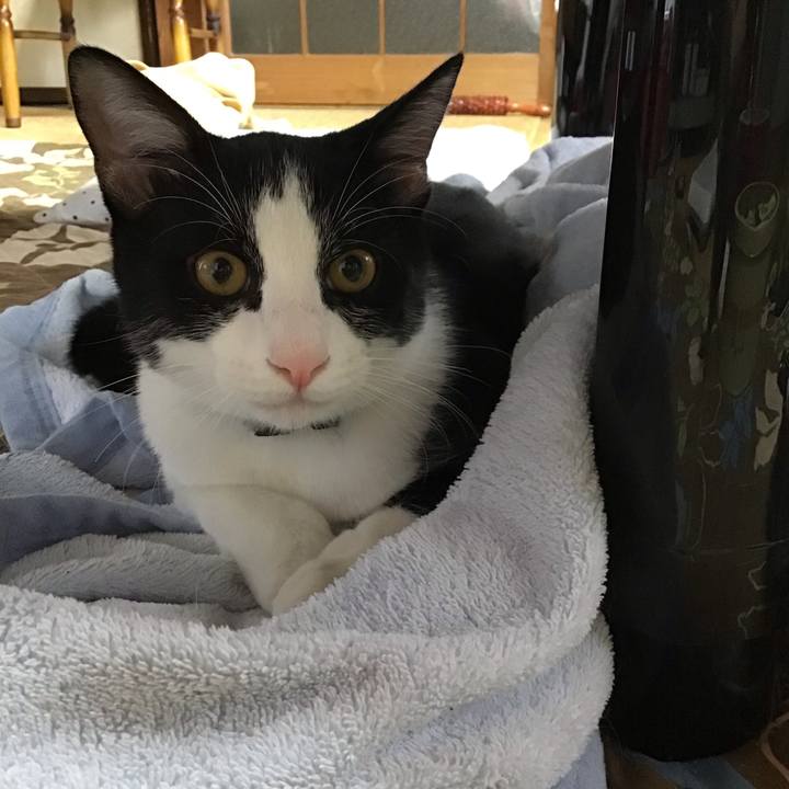 97384446 9b09 4ec0 83f8 95fc5c1fcce7 1634464382439