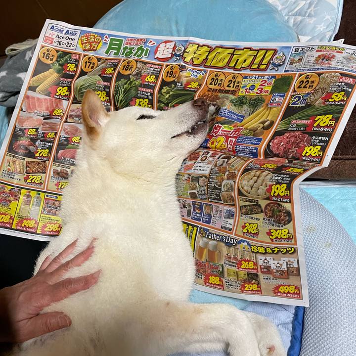 97385b13 c2b5 43c0 bf87 9c44bc4349d3 1655739983890