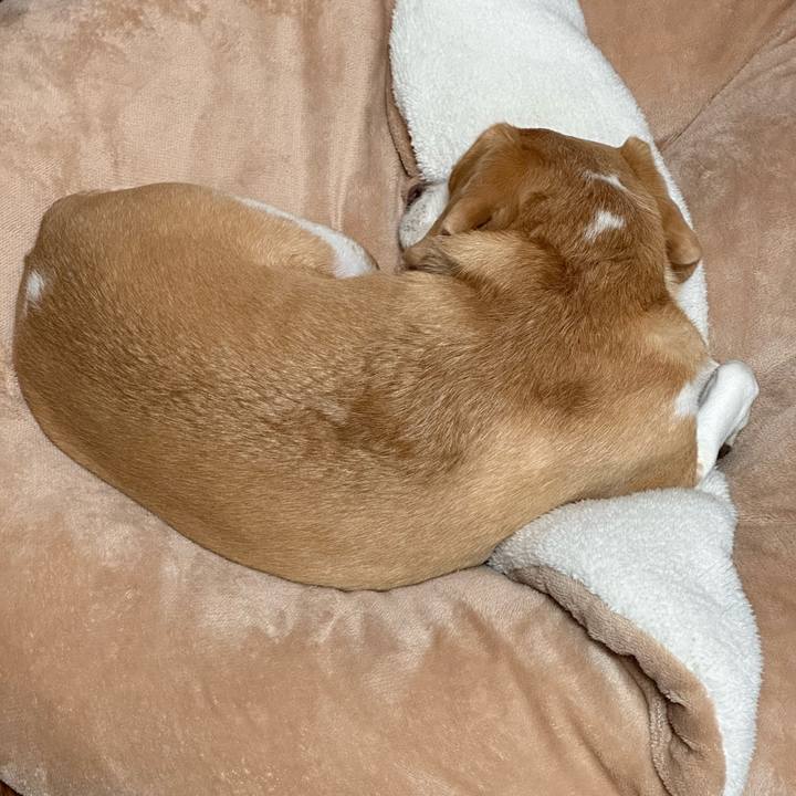 9738aa7f e14f 419c 9504 a327eb2a91b6 1667875055409