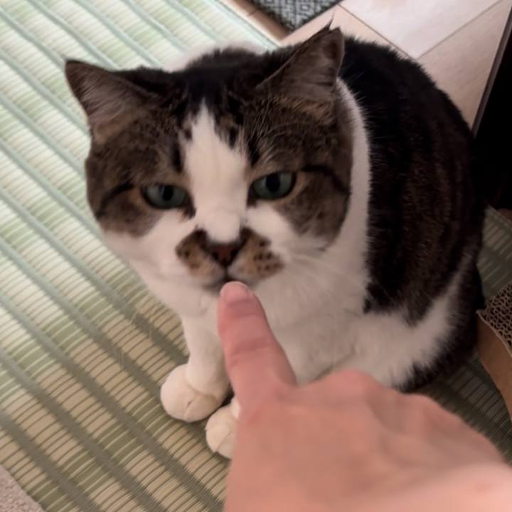 9738ad43 6eb1 4616 9264 dff616a7a501 1759706599593