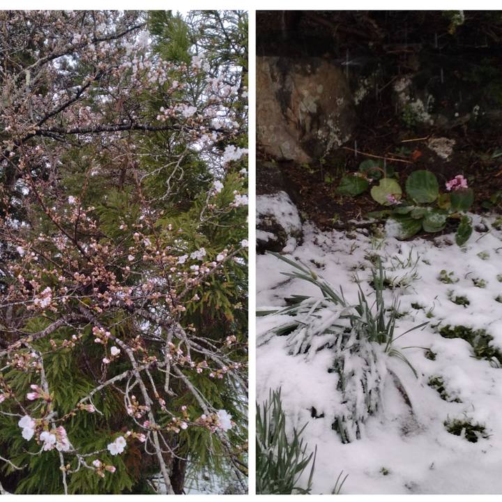 9738be26 743f 4fdf ab85 ba45c7226530 1680992267241