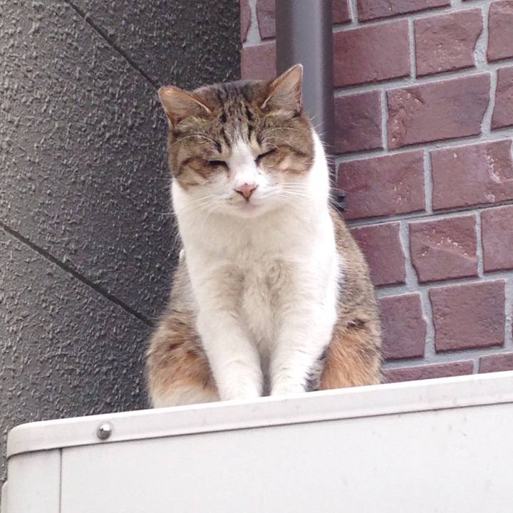 9738be89 afc3 4a52 800b 42d9dd97f51f 1510318147541