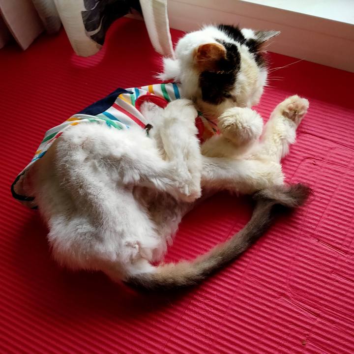 9739200e 5604 437d 80f0 64e88a79cd39 1600489425089