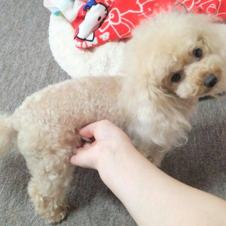 97396697 66e1 4d3f 9dd7 bfad624f8fc4 1531997171618