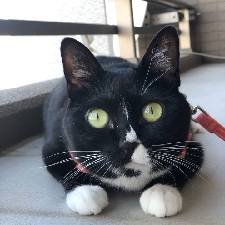 97396a85 d59b 426c 9b61 cccfbca64eb6 1564437014146