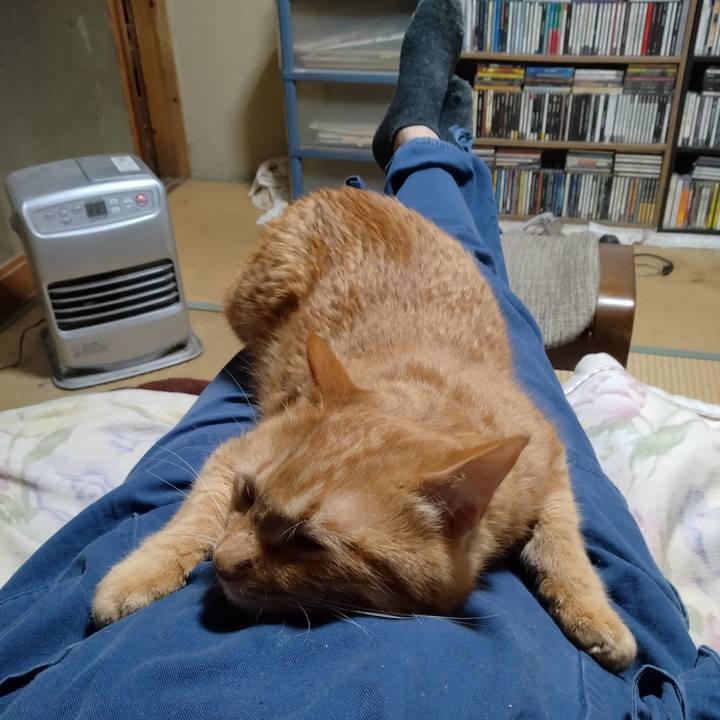 97396c7e 8dcc 4a26 b5dd 43a4d0651415 1735816728918