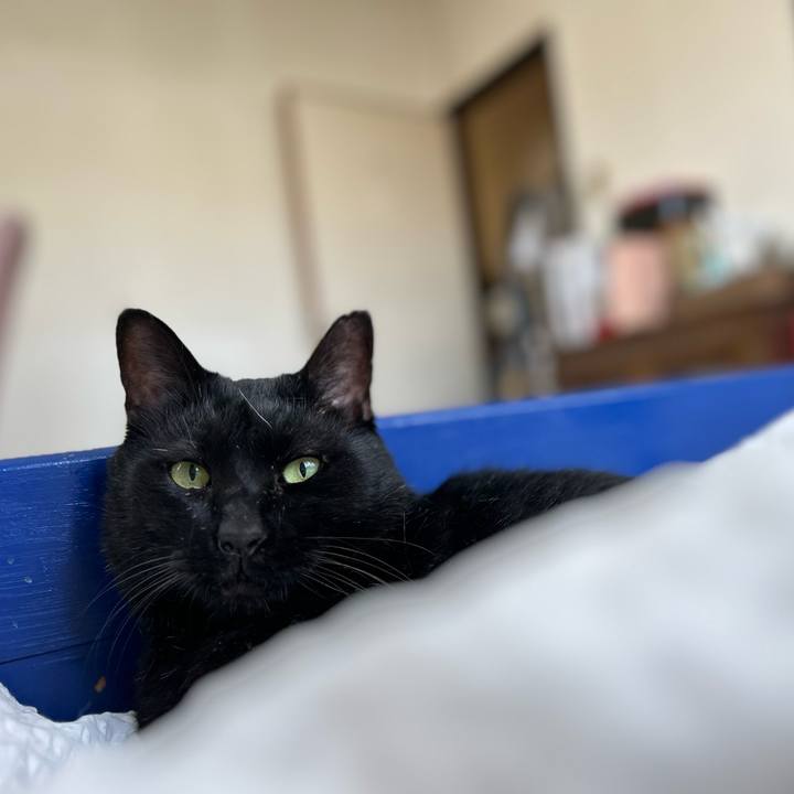 97396f76 822e 41c9 bf50 ce463f012099 1760442180057