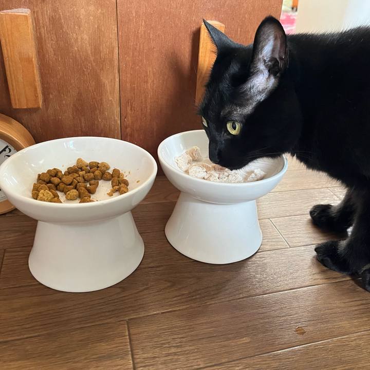 9739afd0 eb93 42b1 abff 31c3b97bf902 1720136016949