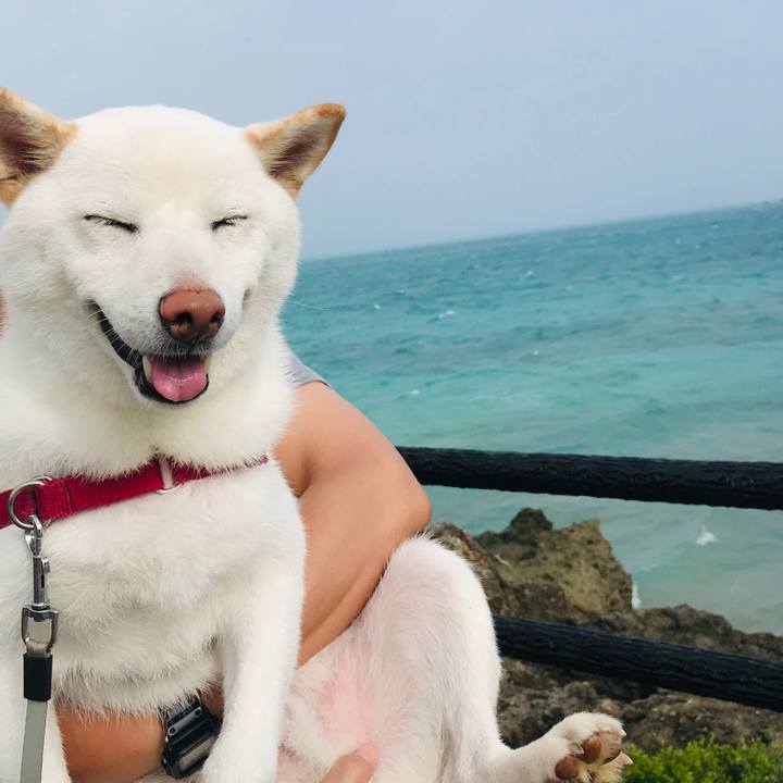 9739c739 38fb 49cf 85cc 4777a4316001 1568940162598