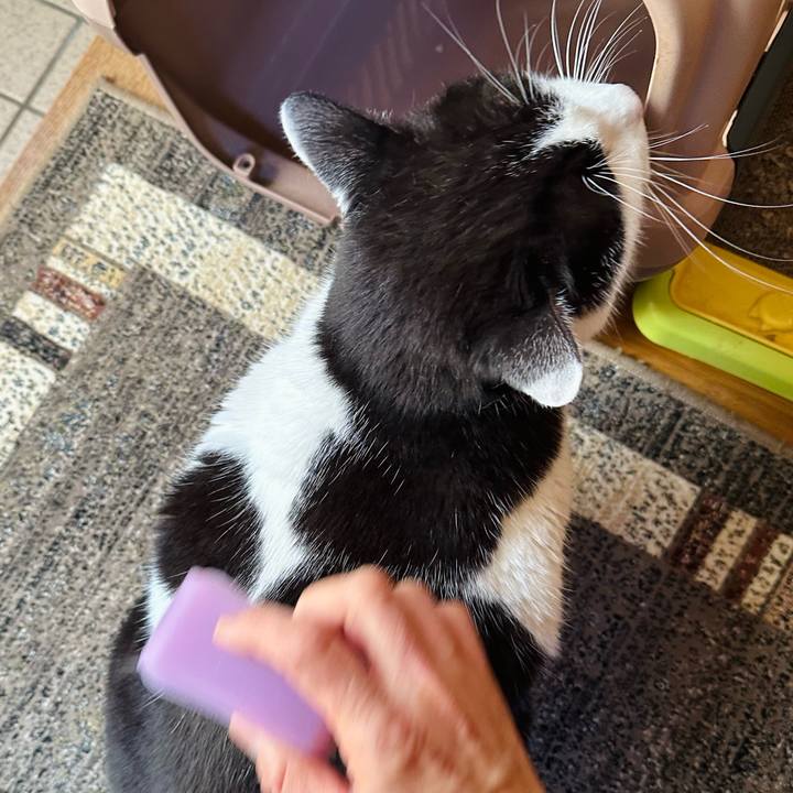 9739d594 2a4a 4254 8b54 15740b248ee2 1707013375723