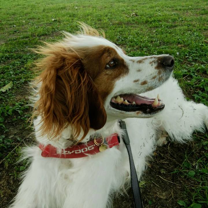 9739d97a d01e 4d03 b385 04adc88baba9 1561103501243