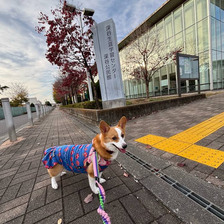 9739dbae 21a1 4c3d afed adafef02c6c2 1763887206526