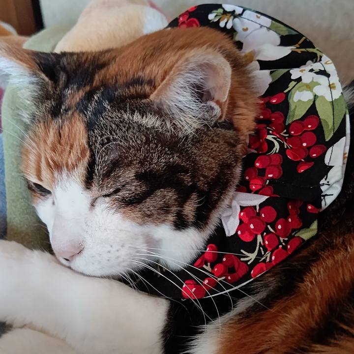 9739e6ac ccc6 45ee b0a6 ff41e91ae2c7 1646290114439