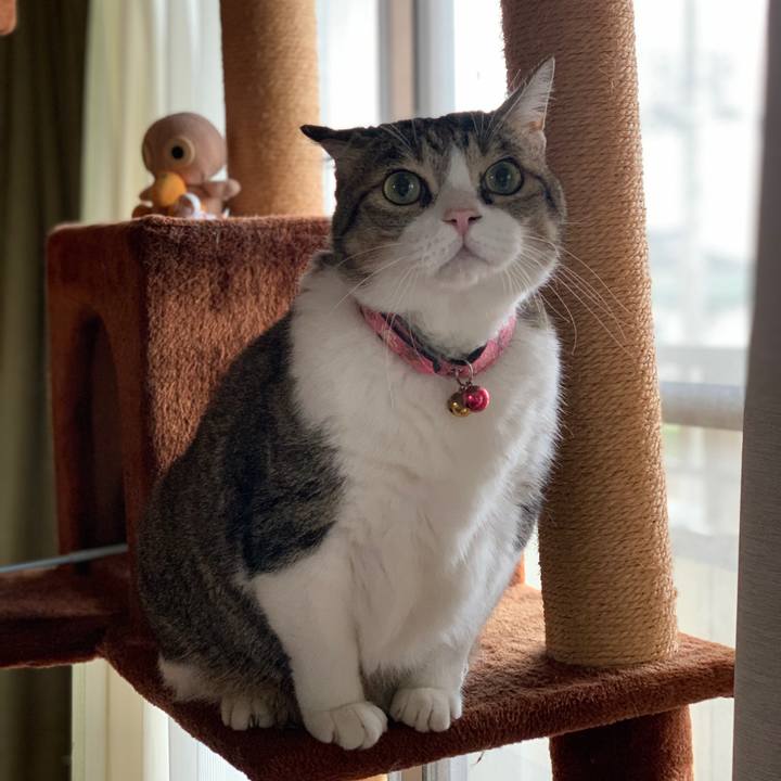 9739f8fe 874d 4e2c a83a 07d9ece2d2b7 1731405785144