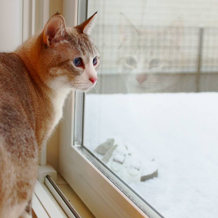 973a04fc 5a3a 4627 941e 5ba02e1e9b79 1544327220767