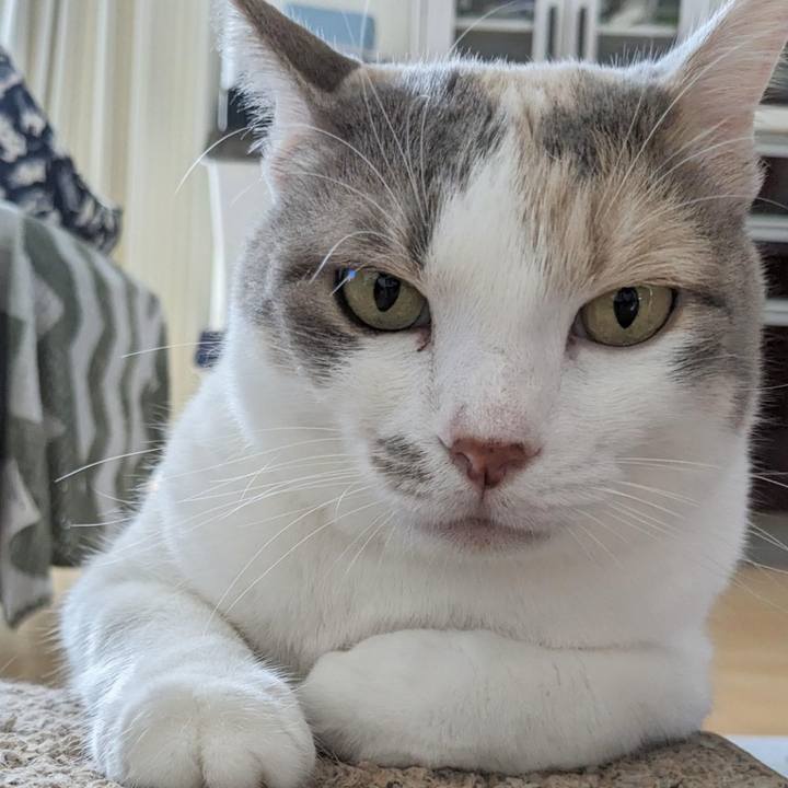 973a309e d573 4076 b799 c5c1a3093cad 1689224469777