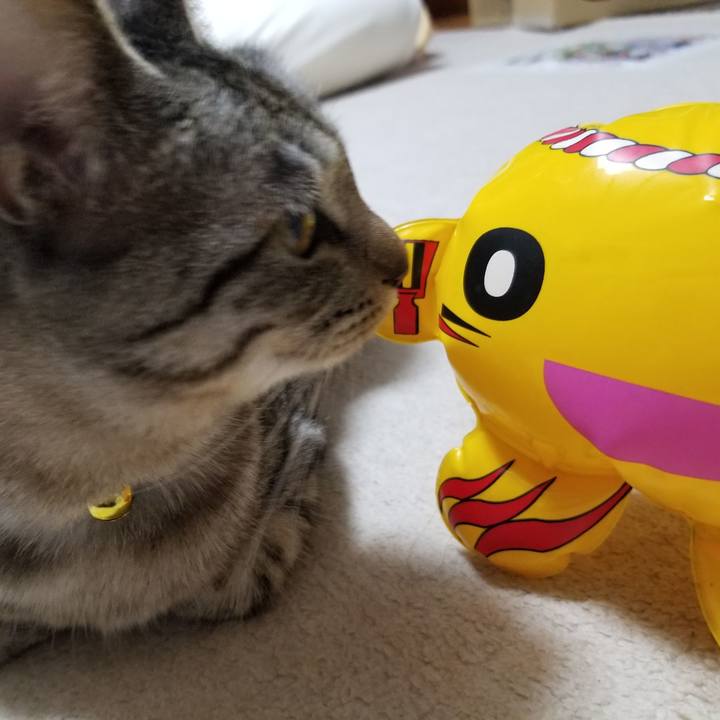 973a3623 09f7 44ca a1b3 64f6ca89130c 1677465174279