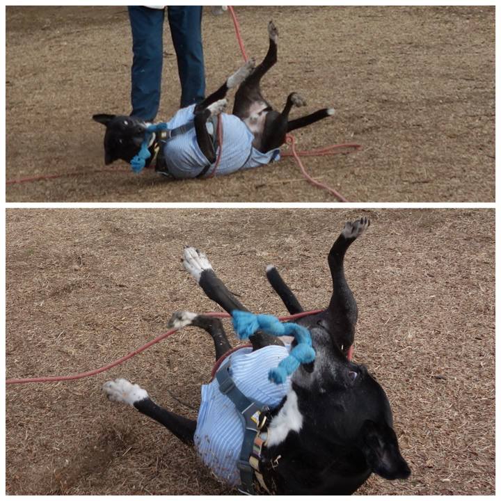 973a3681 e53b 4312 a4aa 47095fd5b833 1740702360152