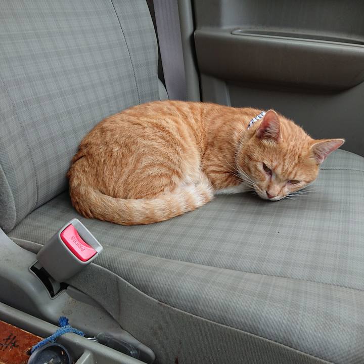 973a4192 4cf8 40c7 ac38 6006fa7ccce0 1568612274269