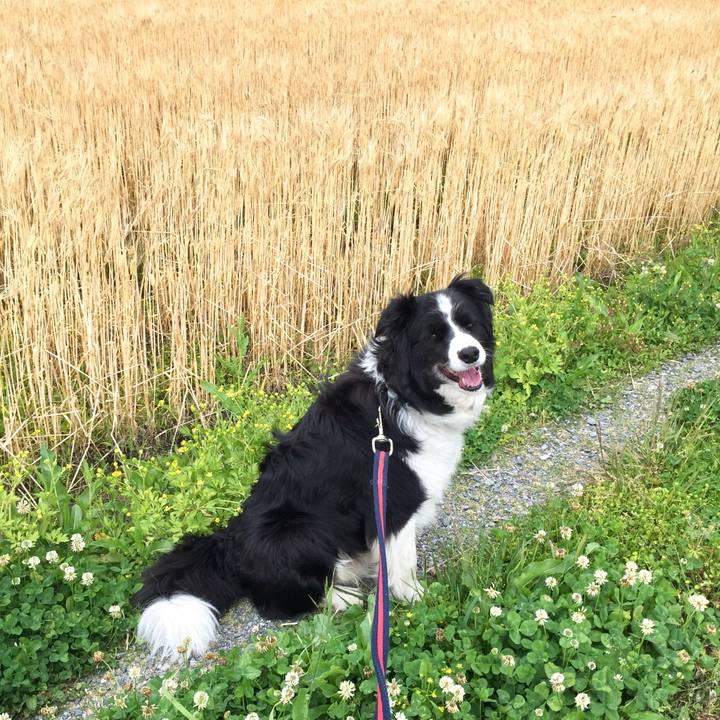 973a5def 5099 4d7c 9c43 e076ded9677a 1588980650498