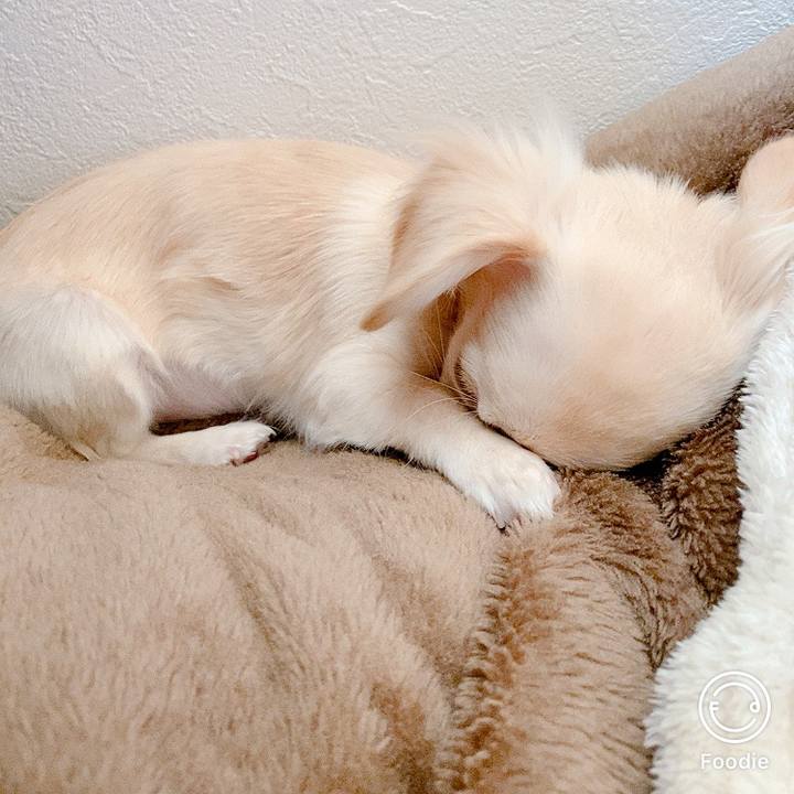 973a6930 131a 46ba 9ac6 e4fedb69082f 1601533824398